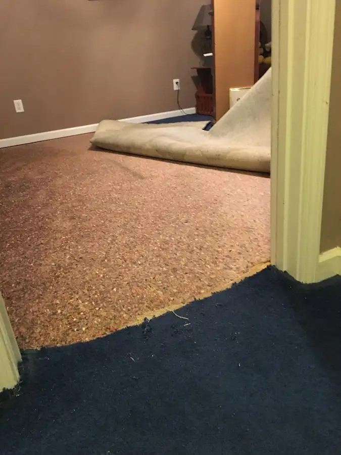 Carpet pad removal revealing water damage during Water Mitigation Services in El Paso de Robles (Paso Robles)