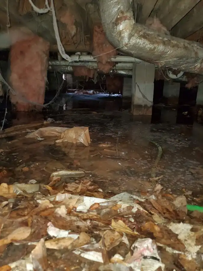 Crawl space flood assessment for Commercial Water Damage Restoration in El Paso de Robles (Paso Robles)