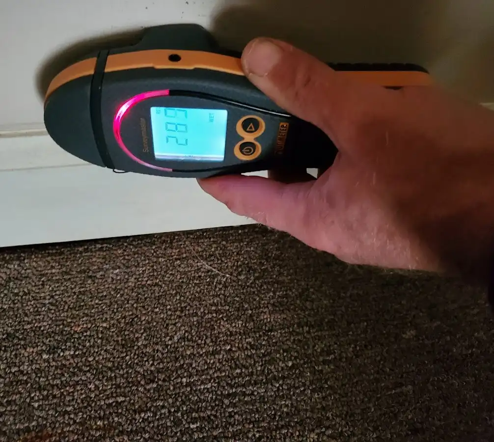 Moisture detection at baseboard during Burst Pipe Cleanup in El Paso de Robles (Paso Robles)